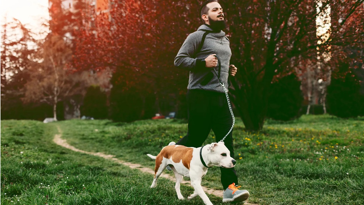 Pohyb a fyzická aktivita sú dôležité pre udržanie zdravého tela a mysle. Okrem toho, starostlivosť o domáce zvieratko môže zvýšiť našu motiváciu byť aktívnejšími a viac sa hýbať. 