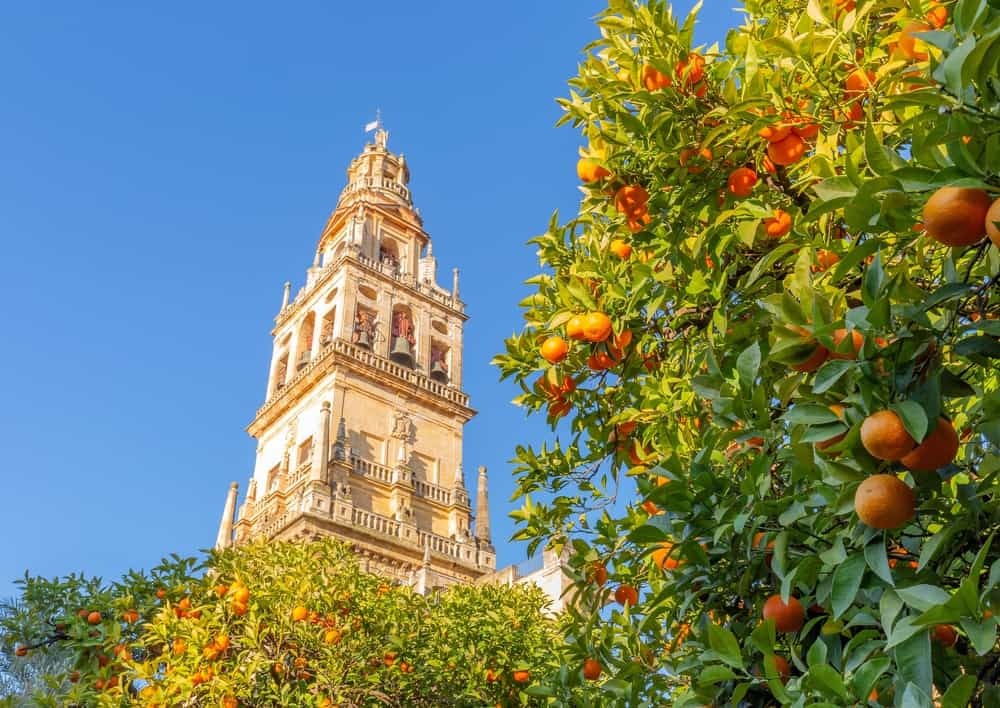 Ikonická veža mesta - La Giralda.