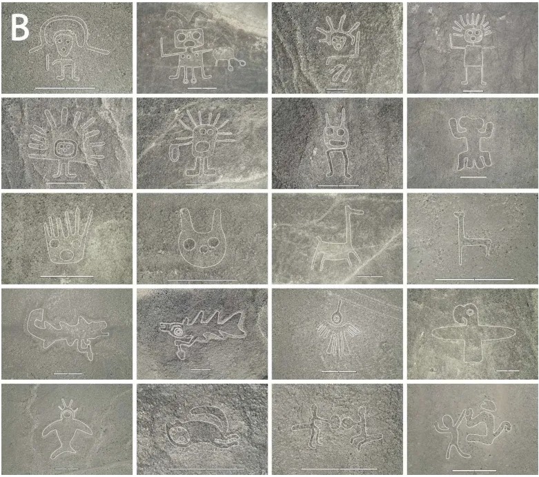 Medzi najzaujímavejšie geoglyfy nájdené umelou inteligenciou patria bizarné humanoidné postavy, sťaté hlavy, domestikované zvieratá, veľryby, vtáky, mačky a staroveké ľudské obrady.