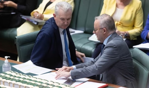 Minister vnútra Tony Burke a predseda vlády Anthony Albanese. Akademik Aftab Malik bol vymenovaný za osobitného vyslanca pre boj proti islamofóbii.