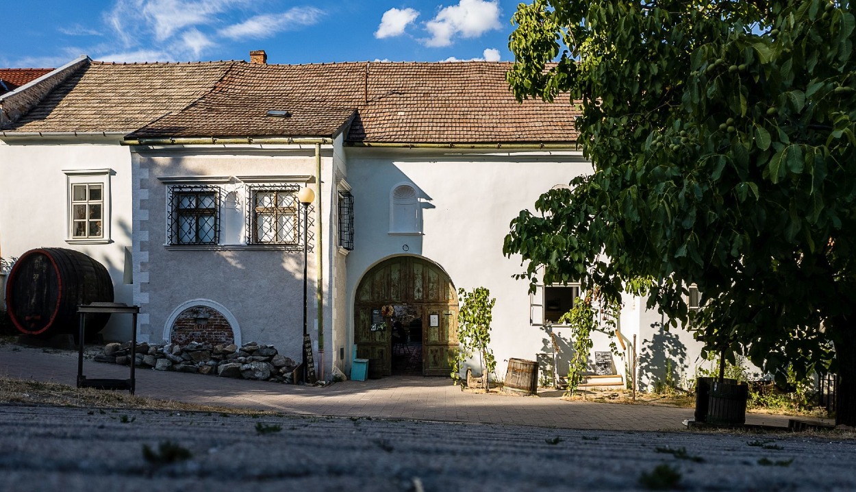 Najstaršia vínna pivnica sa nachádza v Renesančnom dome vo Svätom Jure.