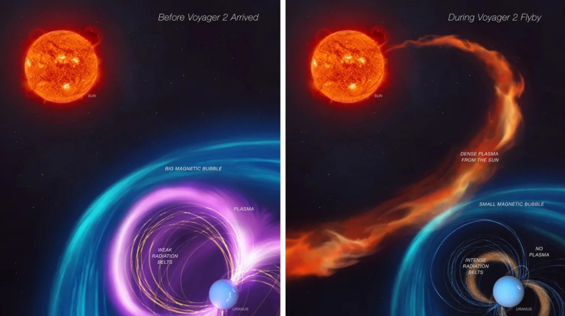 Prvý panel (vľavo) tohto umeleckého konceptu znázorňuje, ako sa správala ochranná magnetosféra Uránu pred preletom sondy Voyager 2. Druhý panel ukazuje, že v rovnakom čase ako prelet sondy sa vyskytovalo nezvyčajné slnečné počasie.