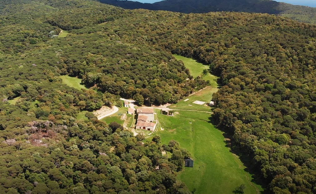 Parc del Montnegre i el Corredor v Španielsku.