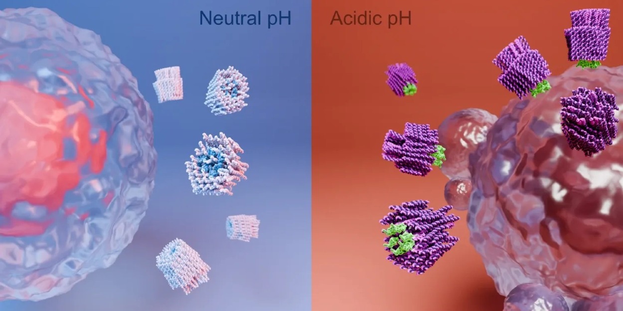 Zbraň nanorobota môže byť vystavená iba v kyslom prostredí