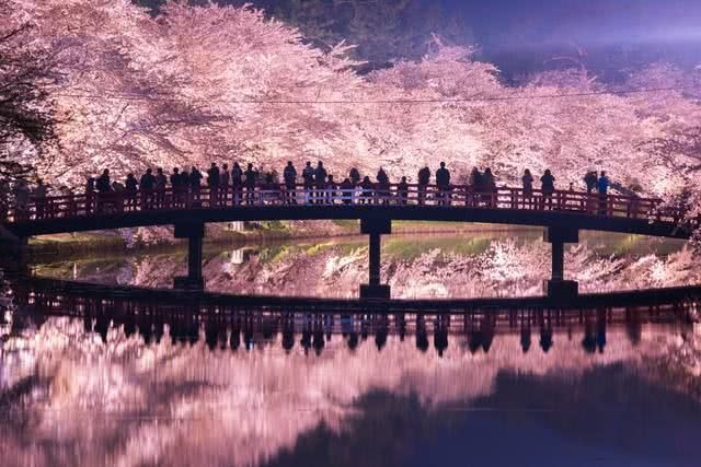 Veľkolepý sakurový festival v parku Hirosaki.