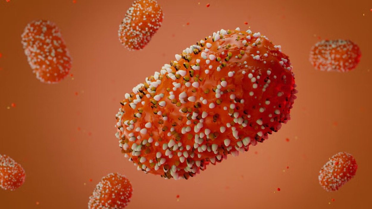 Mpox je vírusové ochorenie spôsobené vírusom opičích kiahní, druhom rodu Orthopoxvirus.