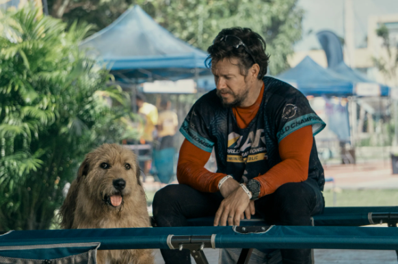 Pes Ukai a herec Mark Wahlberg sa stanú kamarátmi vo filme „Arthur the King“.