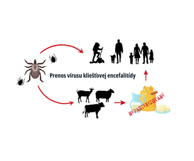 Kliešťová encefalitída a jej šírenie.