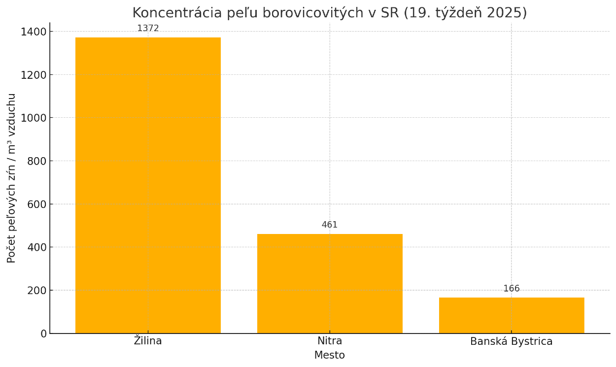 Koncetrácia peľu borovicovitých v SR