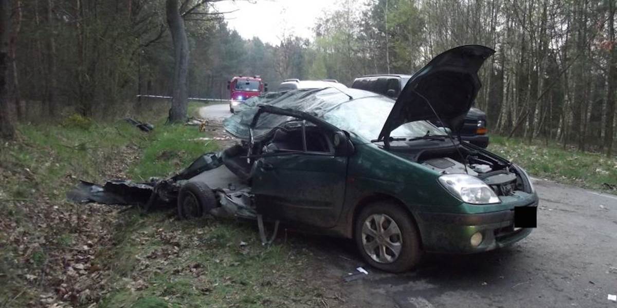Tragédia v Poľsku: Sedem tínedžerov zahynulo vo vozidle, ktoré šoféroval ich opitý kamarát (16)