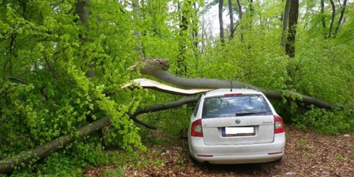 FOTO Na Jankovom vŕšku zostalo auto zakliesnené pod spadnutým stromom