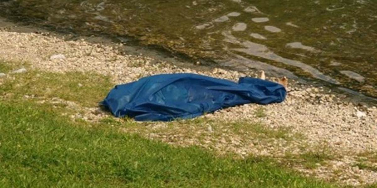 Nepríjemný nález v Bratislave: V kríkoch pri ceste našli mŕtvolu v rozklade!