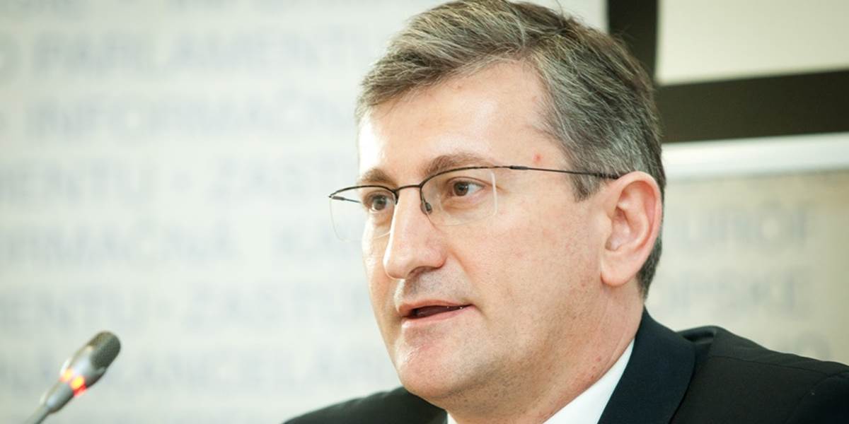 Šéf Európskej komisie na Slovensku verí, že účasť v eurovoľbách dosiahne 20 percent