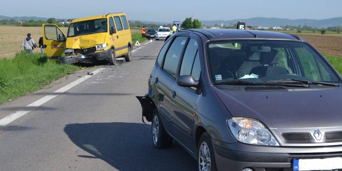 Srnka na ceste v okrese Michalovce zapríčinila zrážku troch áut
