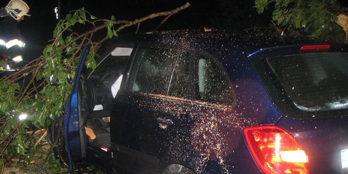 Smrteľná nehoda medzi Jelkou a Hrubou Boršou: Vodič narazil do stromu