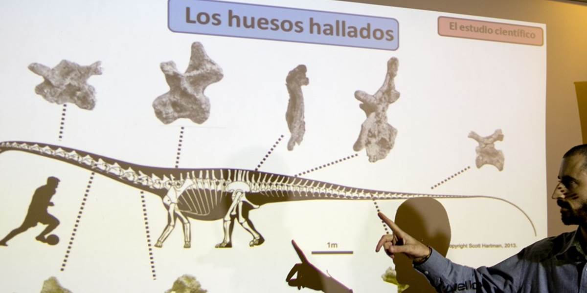 V Patagónii objavili kosti údajne najväčšieho dinosaura