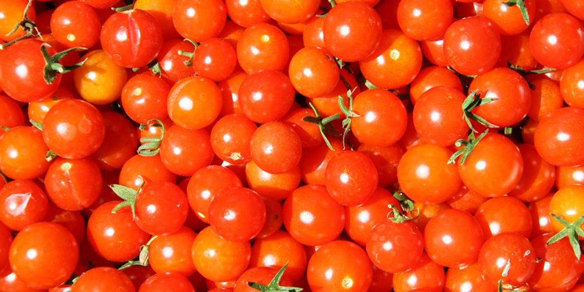 Pozor na cherry paradajky z Maroka, môžu spôsobiť vážne komplikácie!