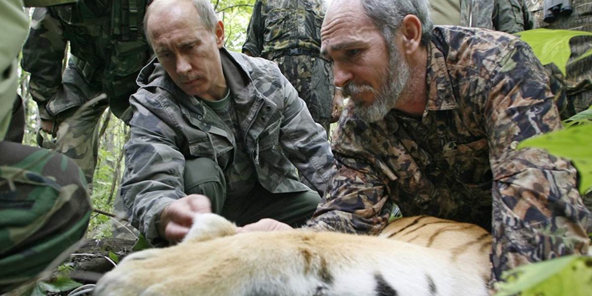 Putin bol pri vypustení troch vzácnych amurských tigrov do prírody
