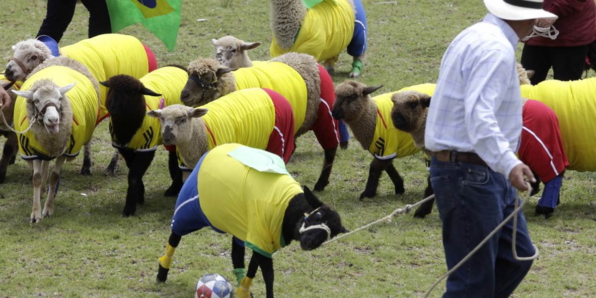 VIDEO Kolumbijčania zdolali Brazílčanov - v zápase oviec