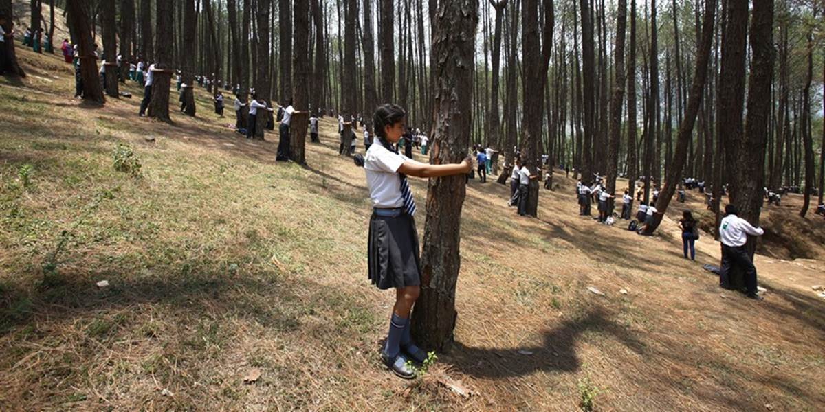 Čerpali energiu zo stromov? V Nepále objímalo stromy naraz až 2000 ľudí!