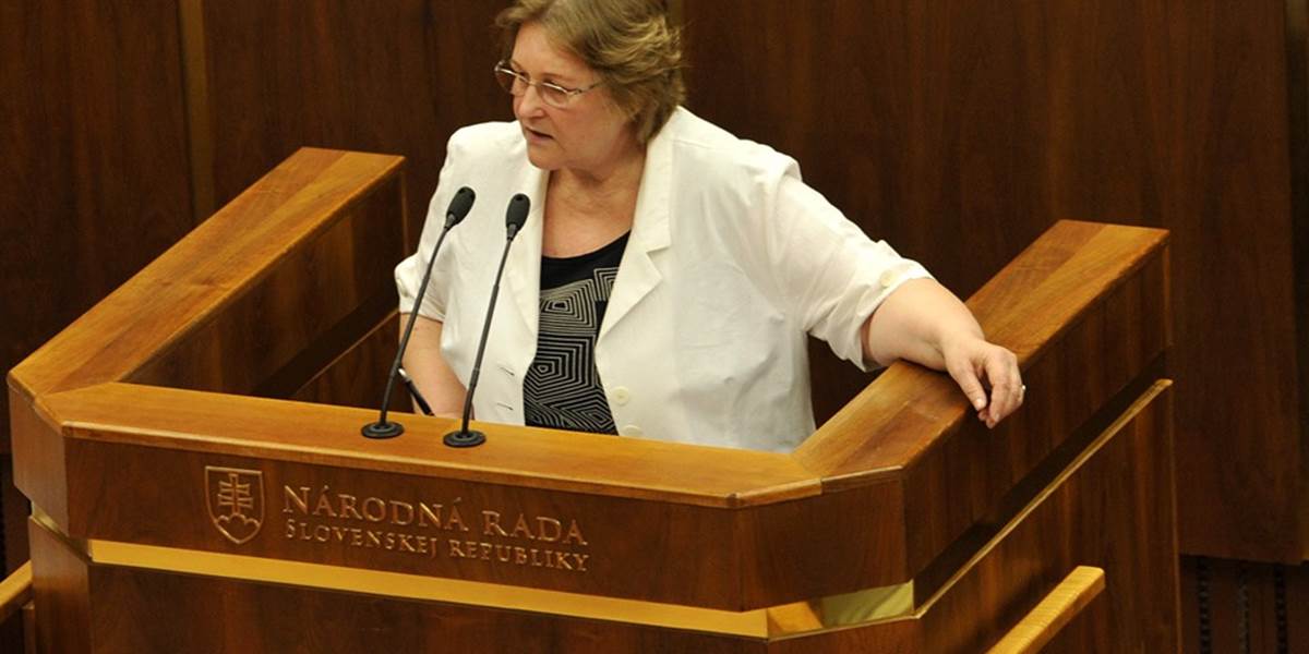 Ombudsmanka Dubovcová: Kiska môže priniesť zmenu v presadzovaní ľudských práv