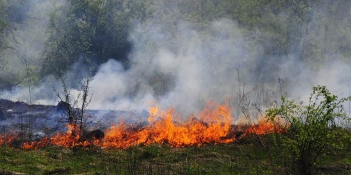Hasiči uhasili požiar lesa v Zámockom parku v Malackách