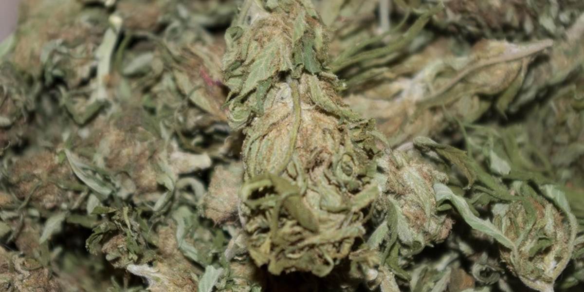 Vo vlaku v Kútoch našli marihuanu v hodnote 12-tisíc eur!