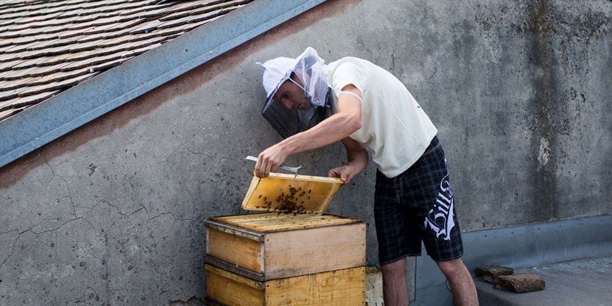 Do centra Bratislavy nasťahovali úle, osadili ich na streche Starej tržnice