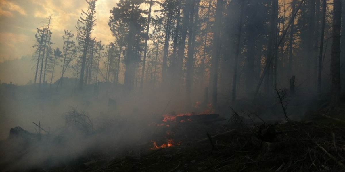 Hasiči bojujú s plameňmi: V katastri obce Láb horí les!