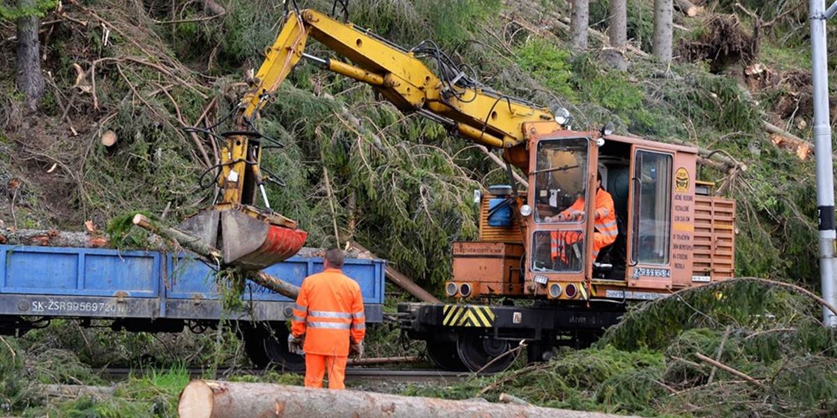 Lesníci odstraňujú v Tatrách kalamitné drevo z turistických chodníkov