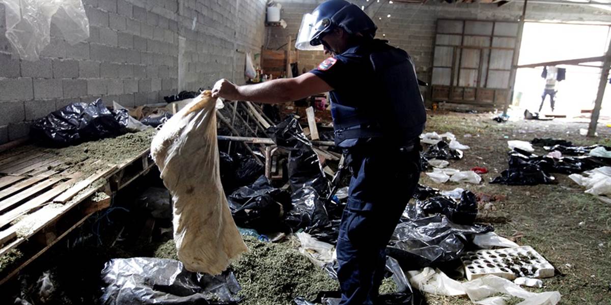 Polícia v Albánsku doteraz zničila 43 ton marihuany