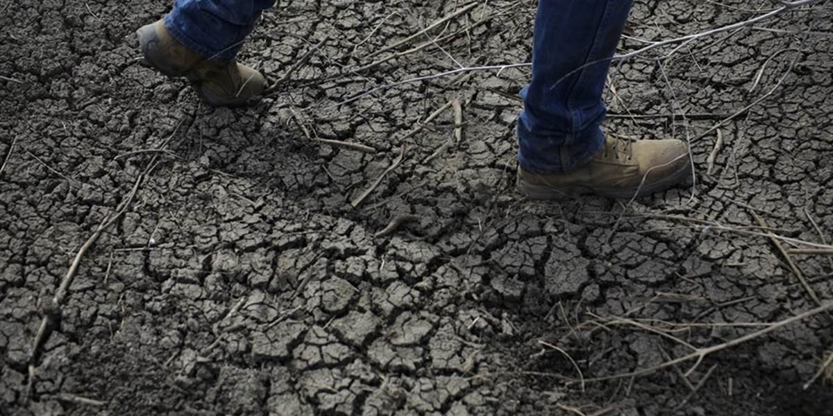 KĽDR hrozí najväčšie sucho za posledné roky