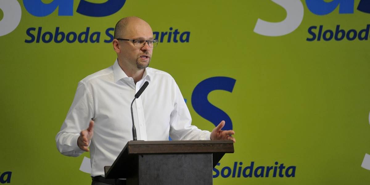 Strana SaS dostala od štátu viac ako 550-tisíc eur