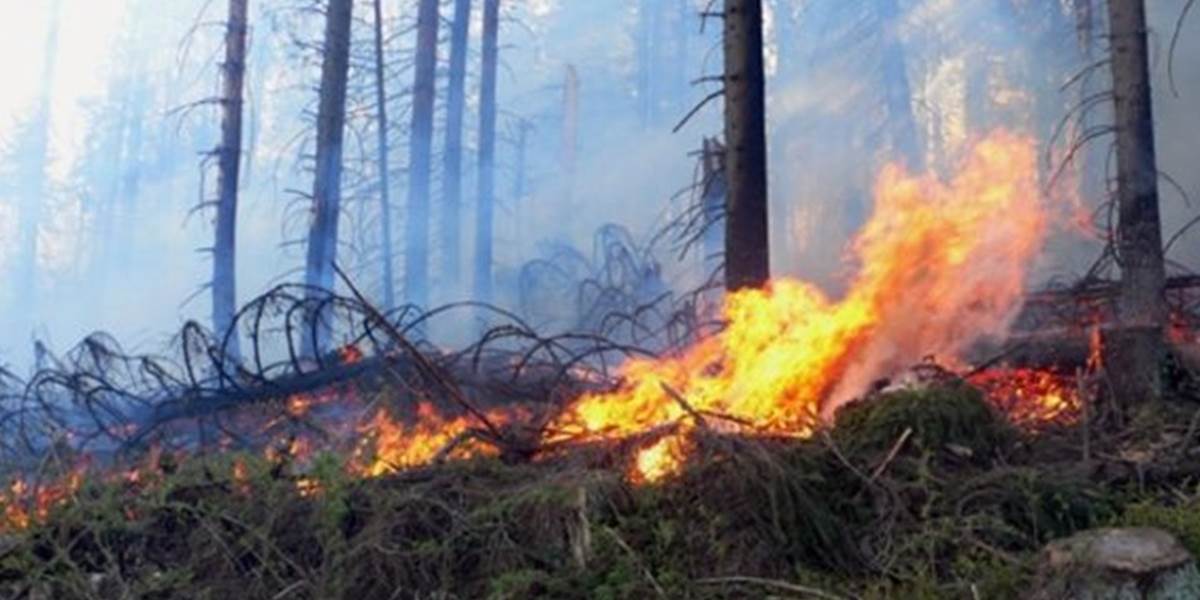 Pri Malackách horí les, zasahuje 30 hasičov
