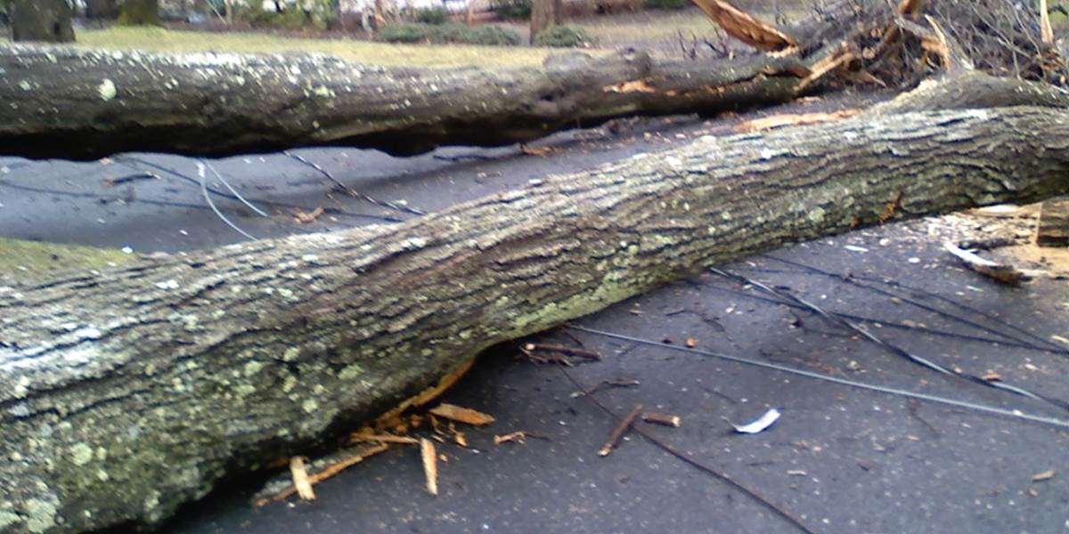 Prešovskí hasiči sa v noci zapotili: Odstraňovali spadnuté stromy