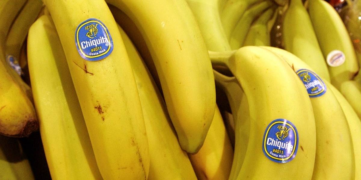 V portugalských supermarketoch našli medzi banánmi ukrytý kokaín