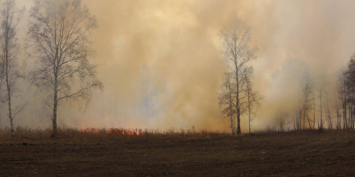 Nebezpečné vypaľovanie trávy: Muž utrpel ťažké popáleniny