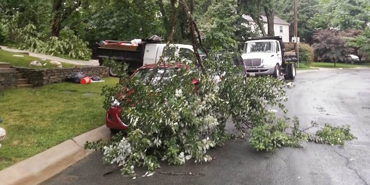 Búrka v Myjave váľala stromy: Jeden z nich spadol na dva automobily!