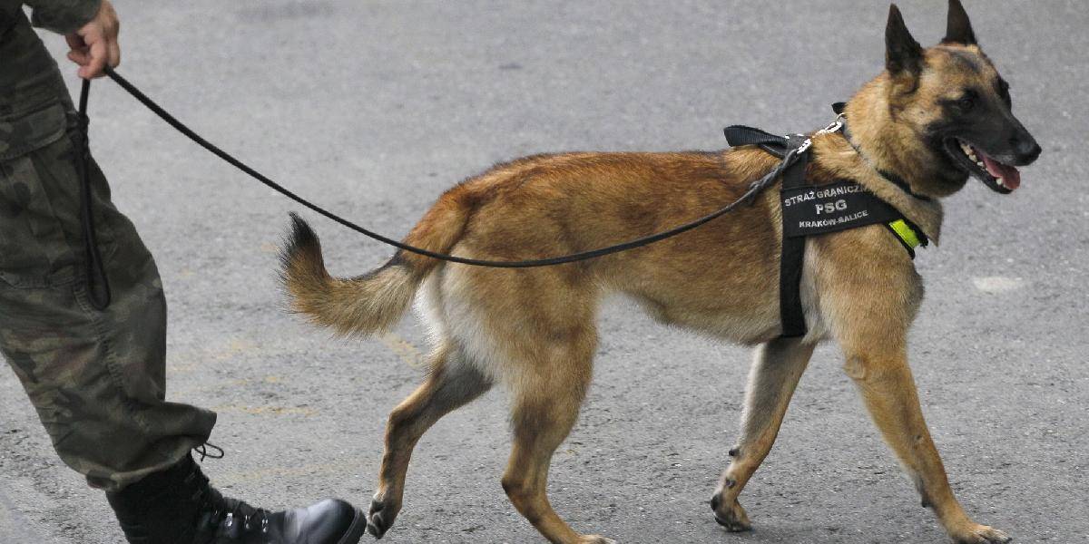 Komisár Rex na slovenský spôsob: Pes zadržal zlodejov