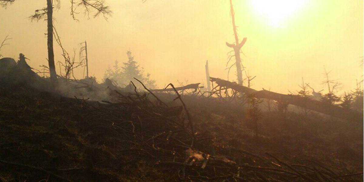 Hasiči zasahujú pri požiari lesa