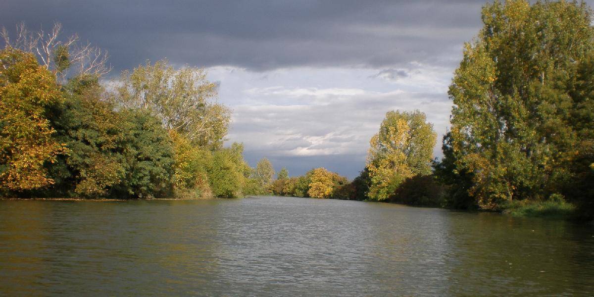 Na hladine Malého Dunaja sa objavili škvrny