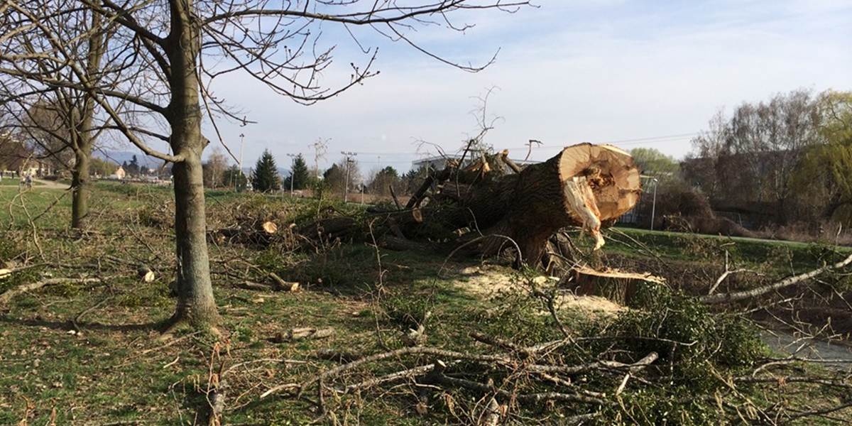 Zlodeji vyrúbali v Slovenskom raji 20 stromov, hrozia im za to až tri roky