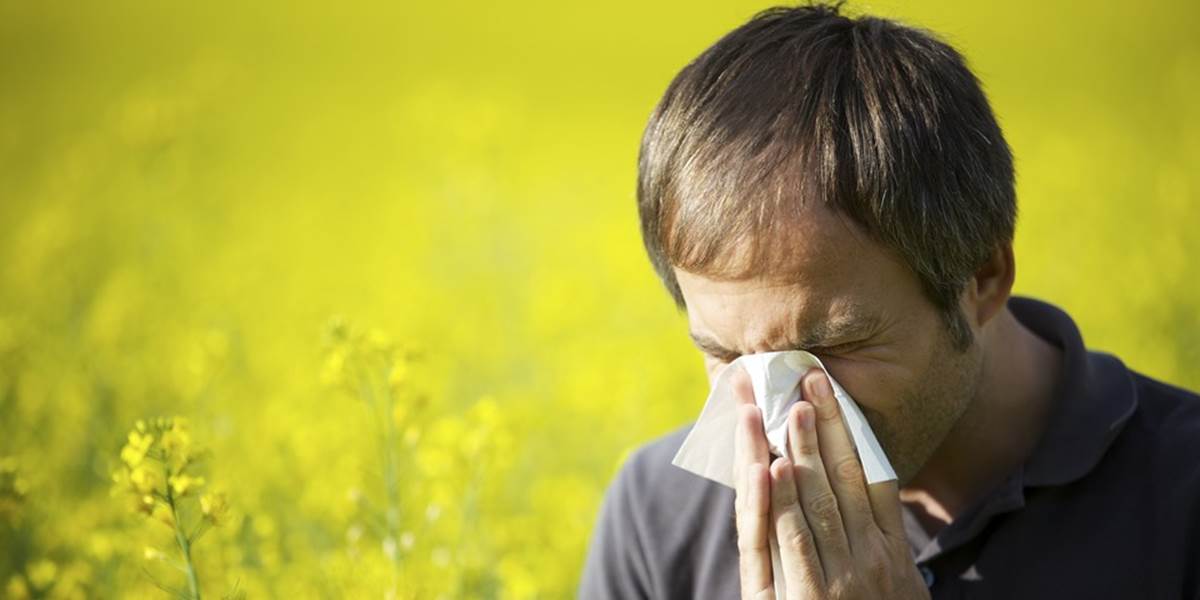 Peľ ambrózie a paliny už trápi alergikov na celom Slovensku