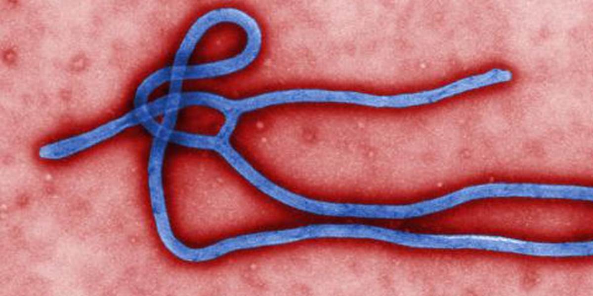Počet obetí eboly sa blíži k číslu 900