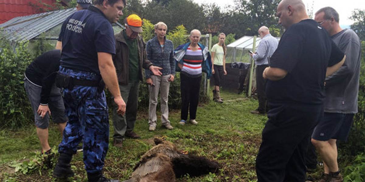 Zatúlaného medveďa pri obytnej štvrti v Prešove museli zastreliť