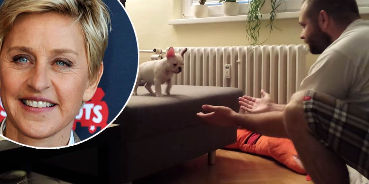 VIDEO Petra a jeho psa pozná celý svet: Vďaka slávnej Ellen DeGeneres!