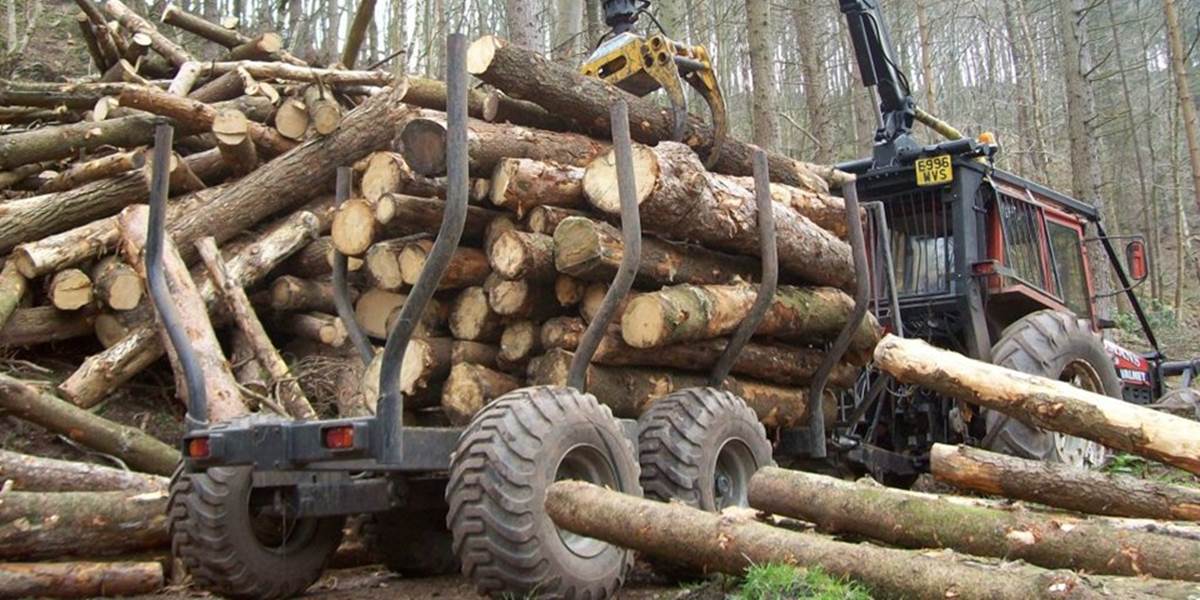 Spracovatelia dreva nesúhlasia s exportom do zahraničia