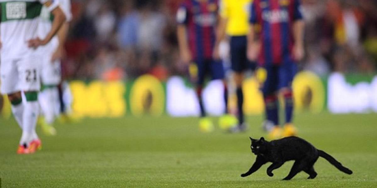 Čierna mačka na ihrisku v Barcelone nie je novinkou