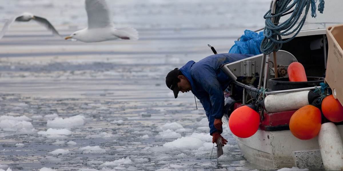Pri západnom pobreží Grónska našli 4 telá, neznáme plavidlo predtým vyslalo SOS