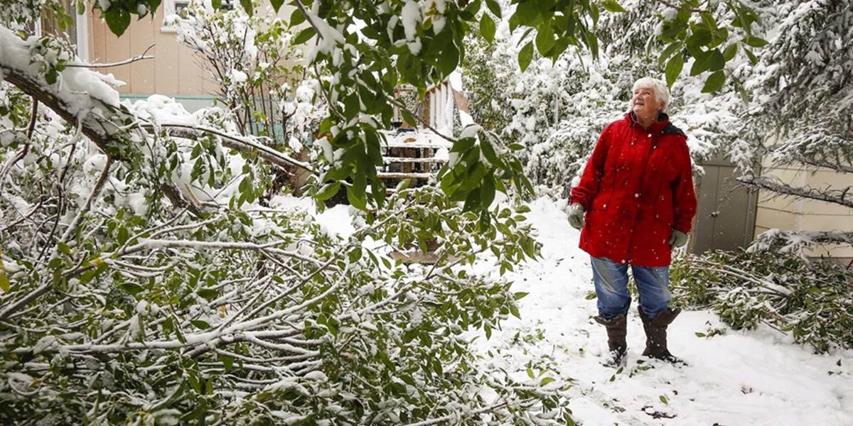 Kanadské mesto Calgary je v šoku:  Prekvapil ich sneh a mráz!